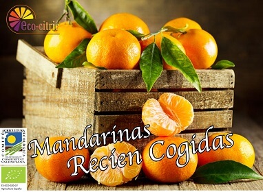 Mandarinas ecológicas a granel (mín. 2 Kg)